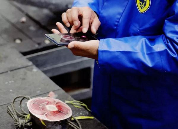 Вы можете попробовать суши, рыбу для которого выбрал искусственный интеллект. В Японии запустили приложение Tuna Scope